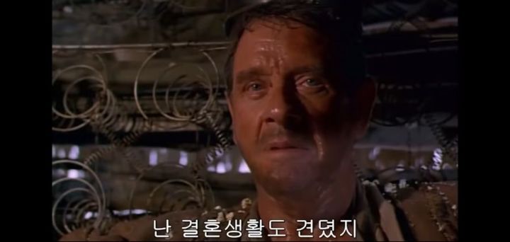컨텐츠 이미지