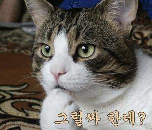 첨부파일