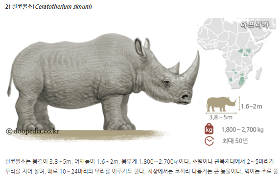 첨부파일