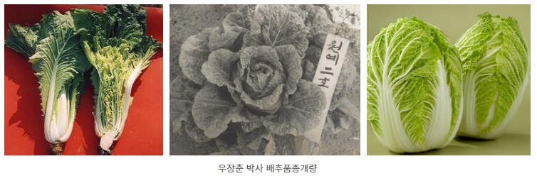 첨부파일