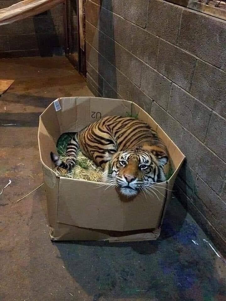 첨부파일