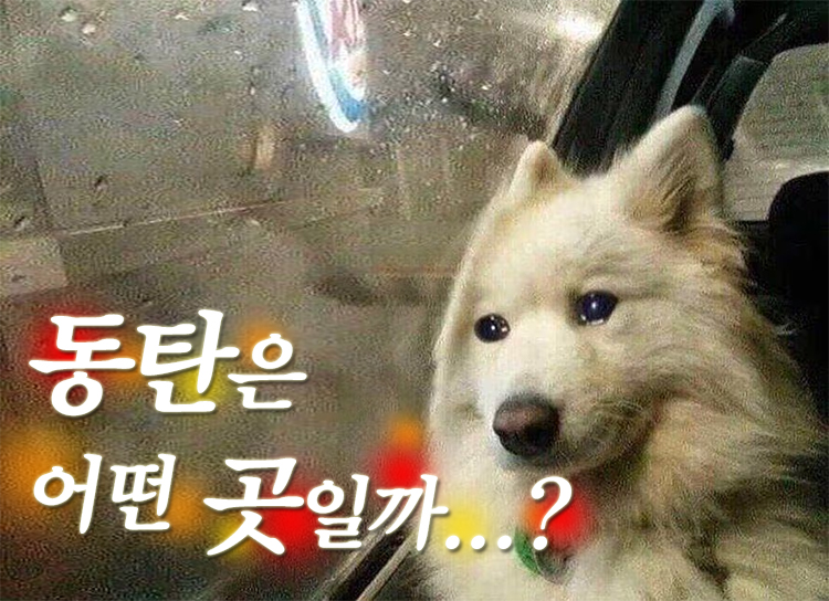 첨부파일