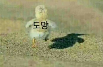 첨부파일