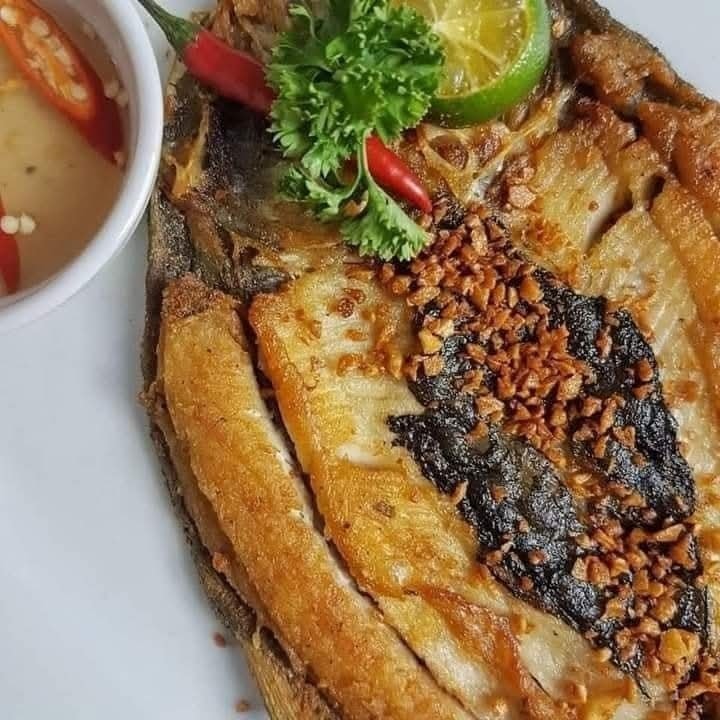 컨텐츠 이미지