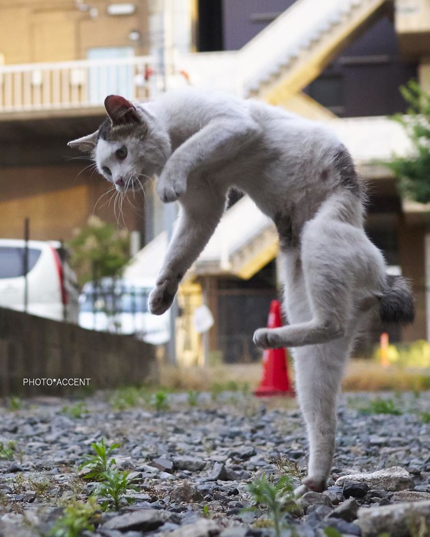 컨텐츠 이미지