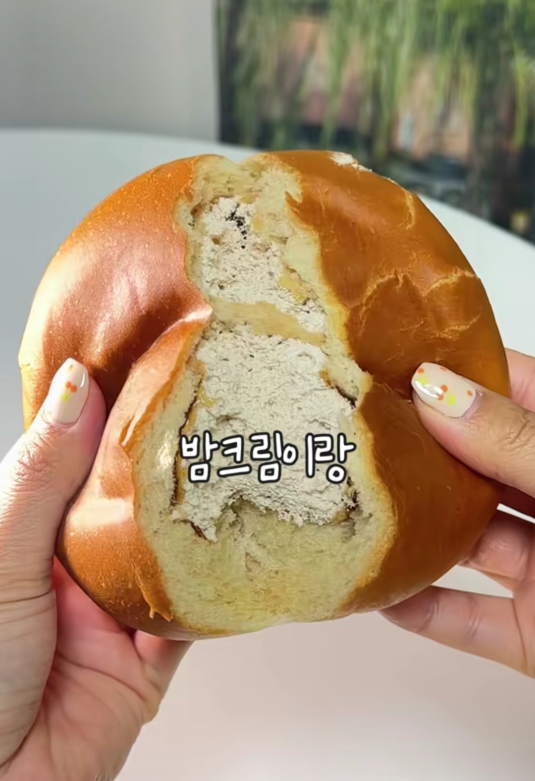 컨텐츠 이미지