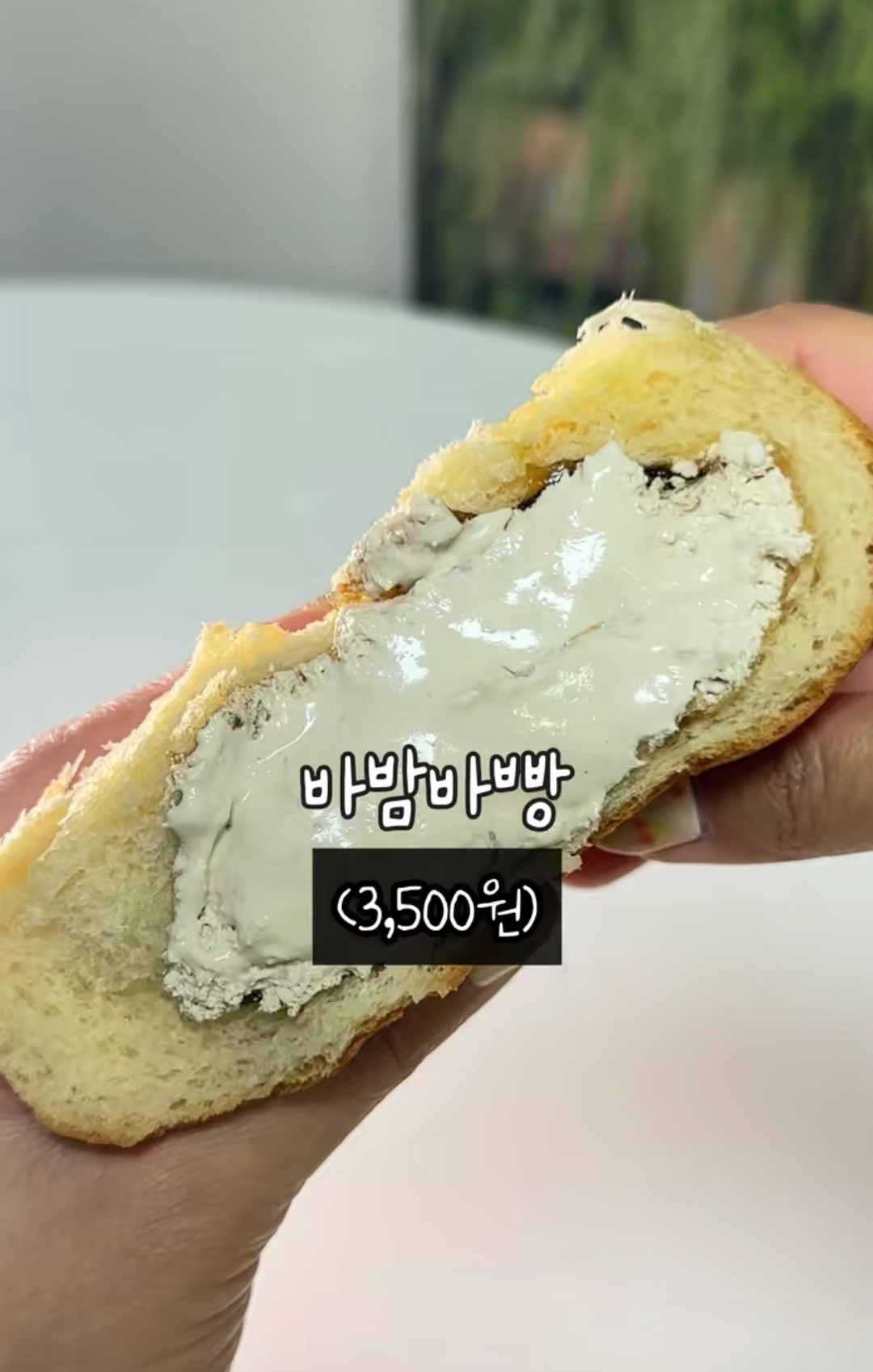 컨텐츠 이미지