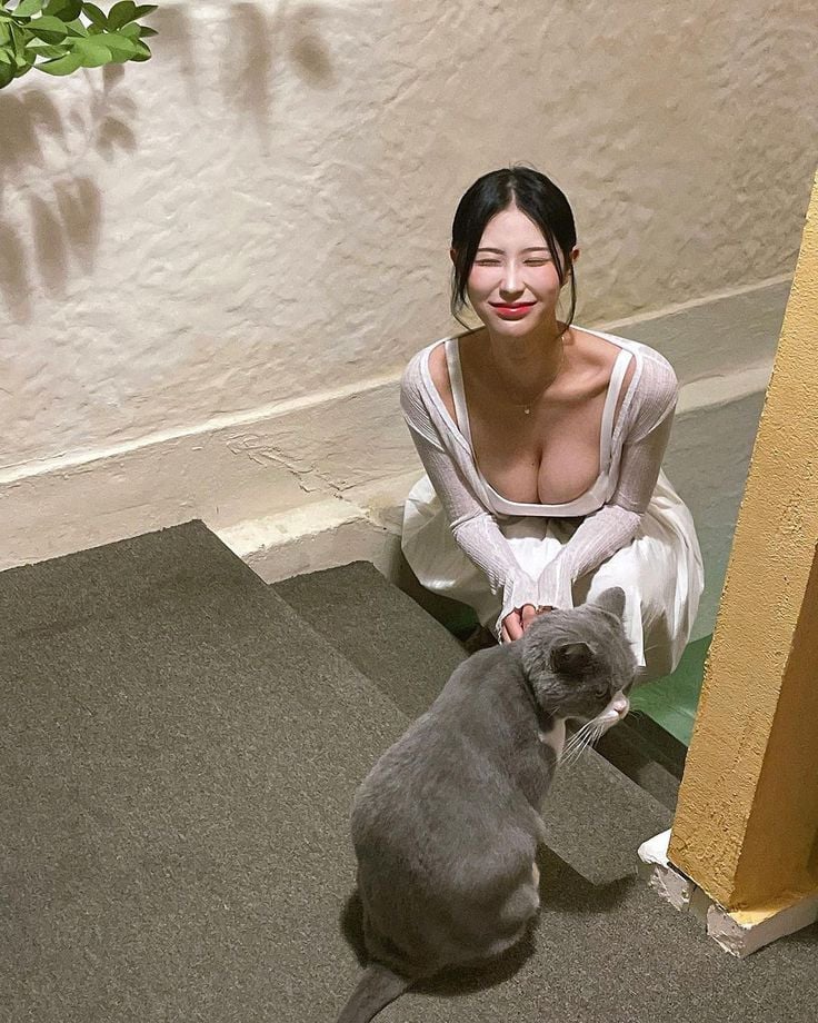 컨텐츠 이미지