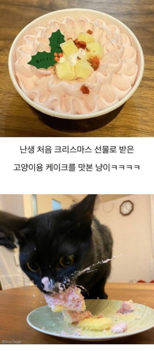 컨텐츠 이미지
