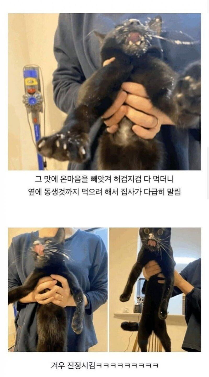 컨텐츠 이미지