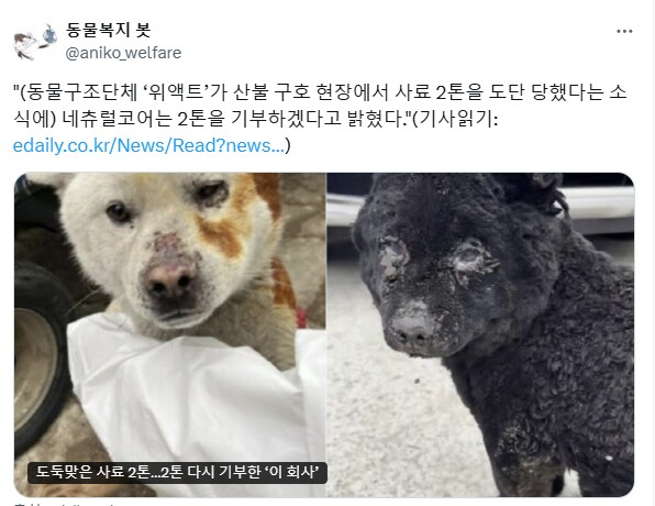 컨텐츠 이미지