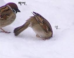 컨텐츠 이미지