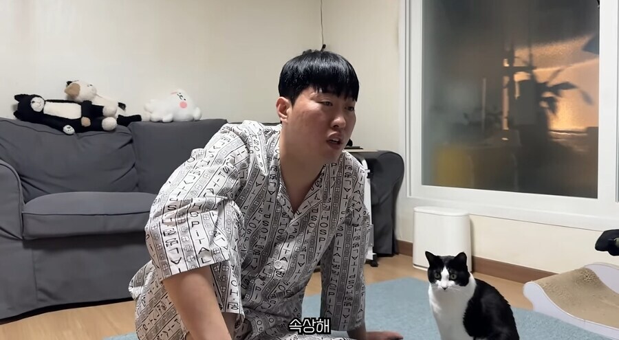 컨텐츠 이미지