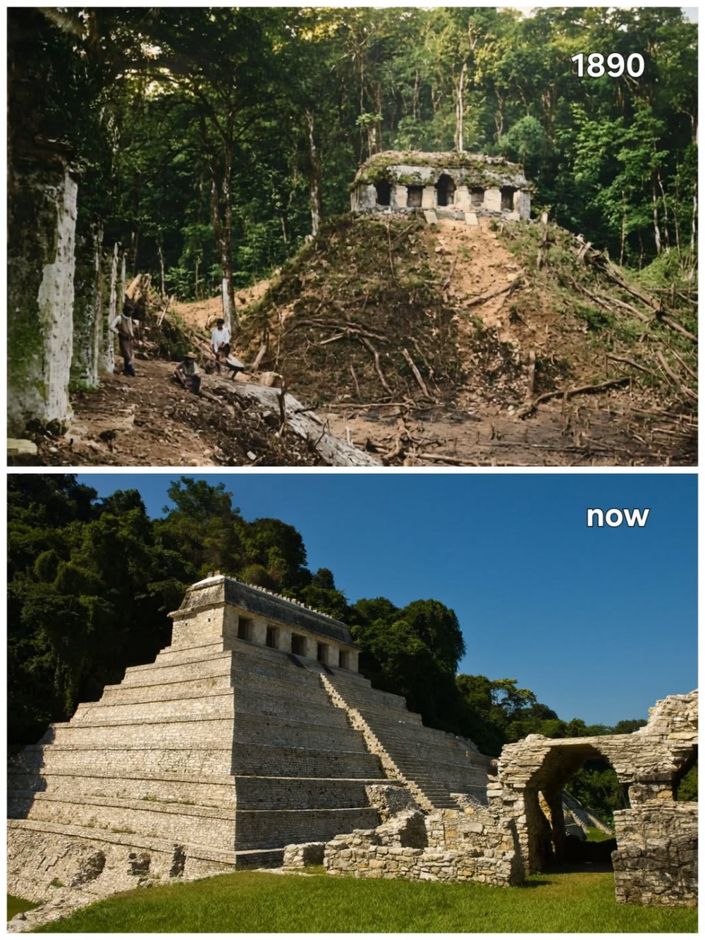 컨텐츠 이미지