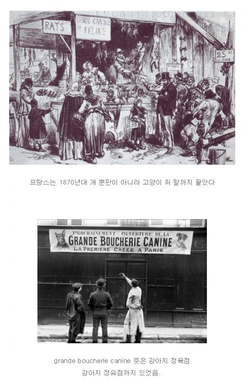 첨부파일