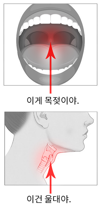 첨부파일