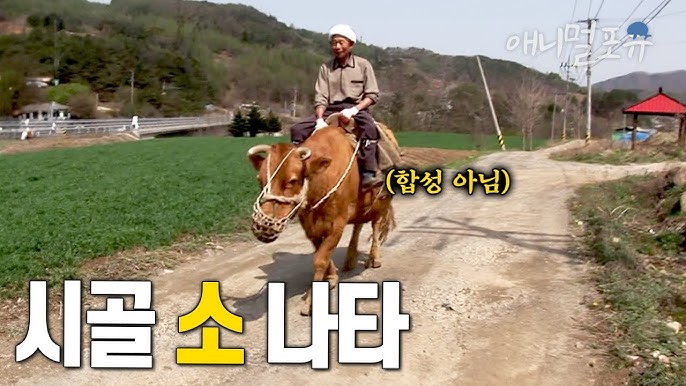 첨부파일