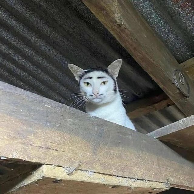 첨부파일