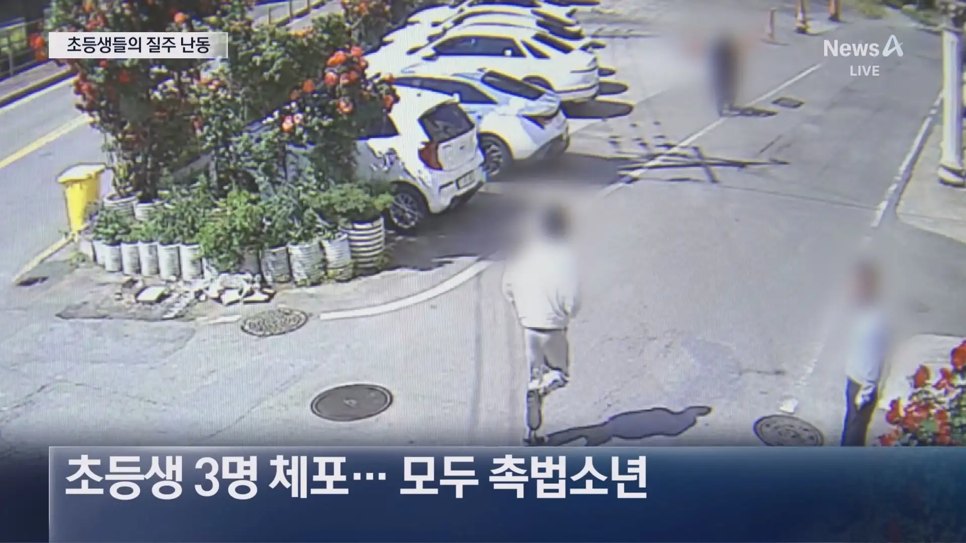 best_article_661328_s0A4823g5l4f95jos1.webp