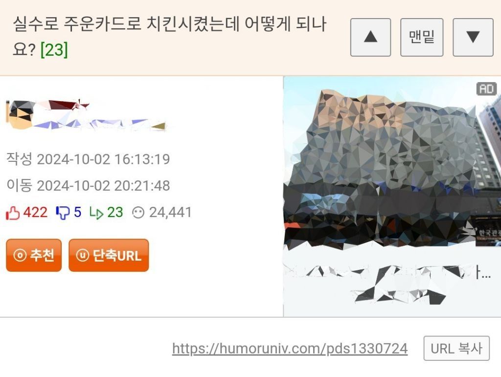 실수로 주운 카드로 치킨.jpeg