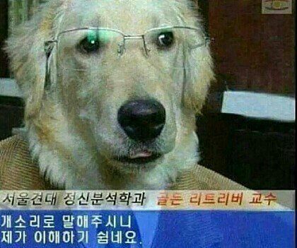 첨부파일