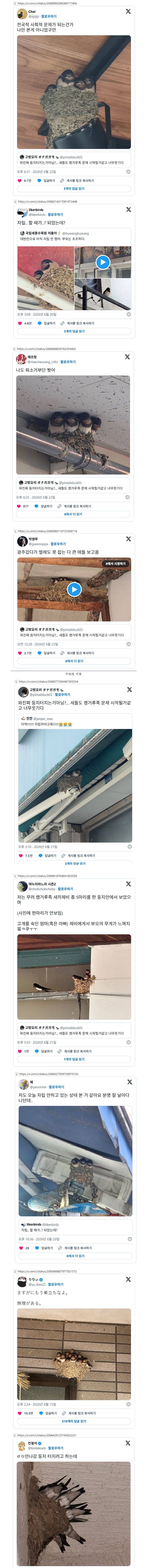 양심없는 쉬었음 제비들001.jpg