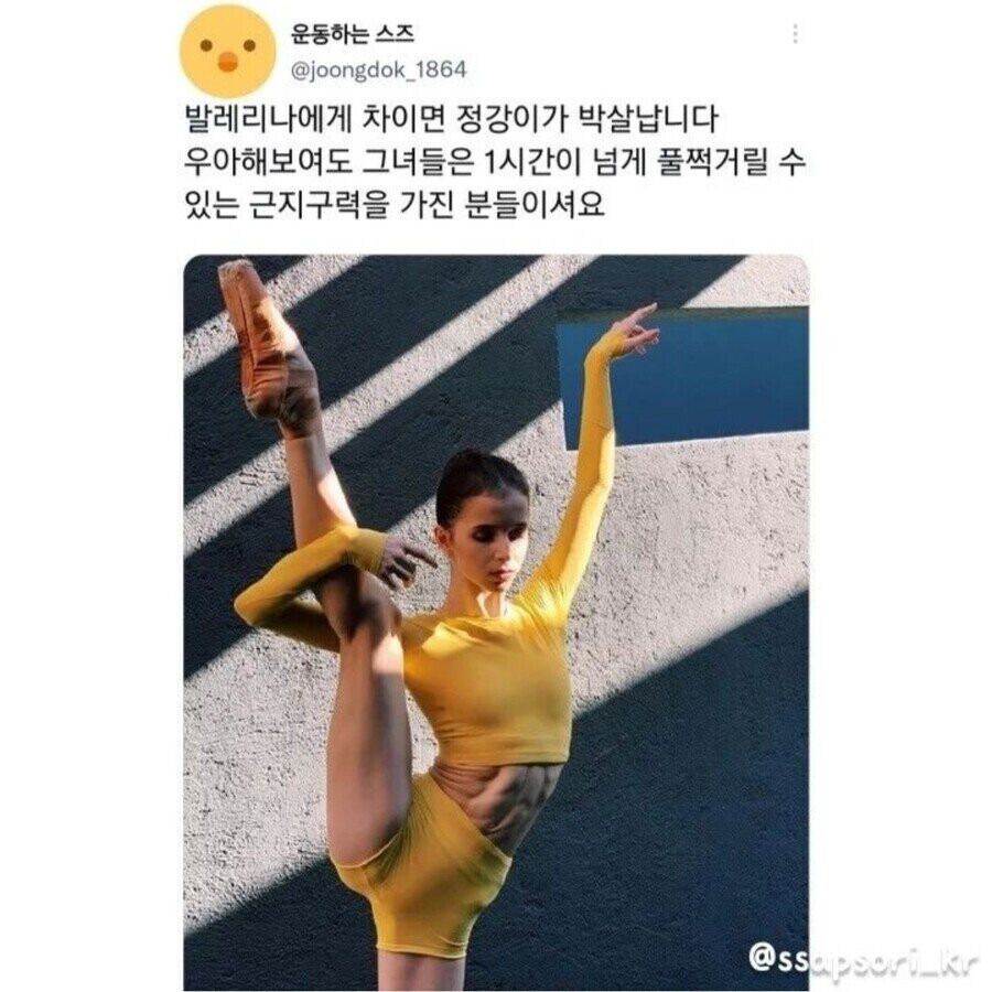 전투력에 대한 소문이 무성한 직종2.png