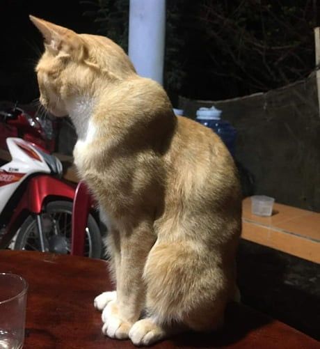 첨부파일