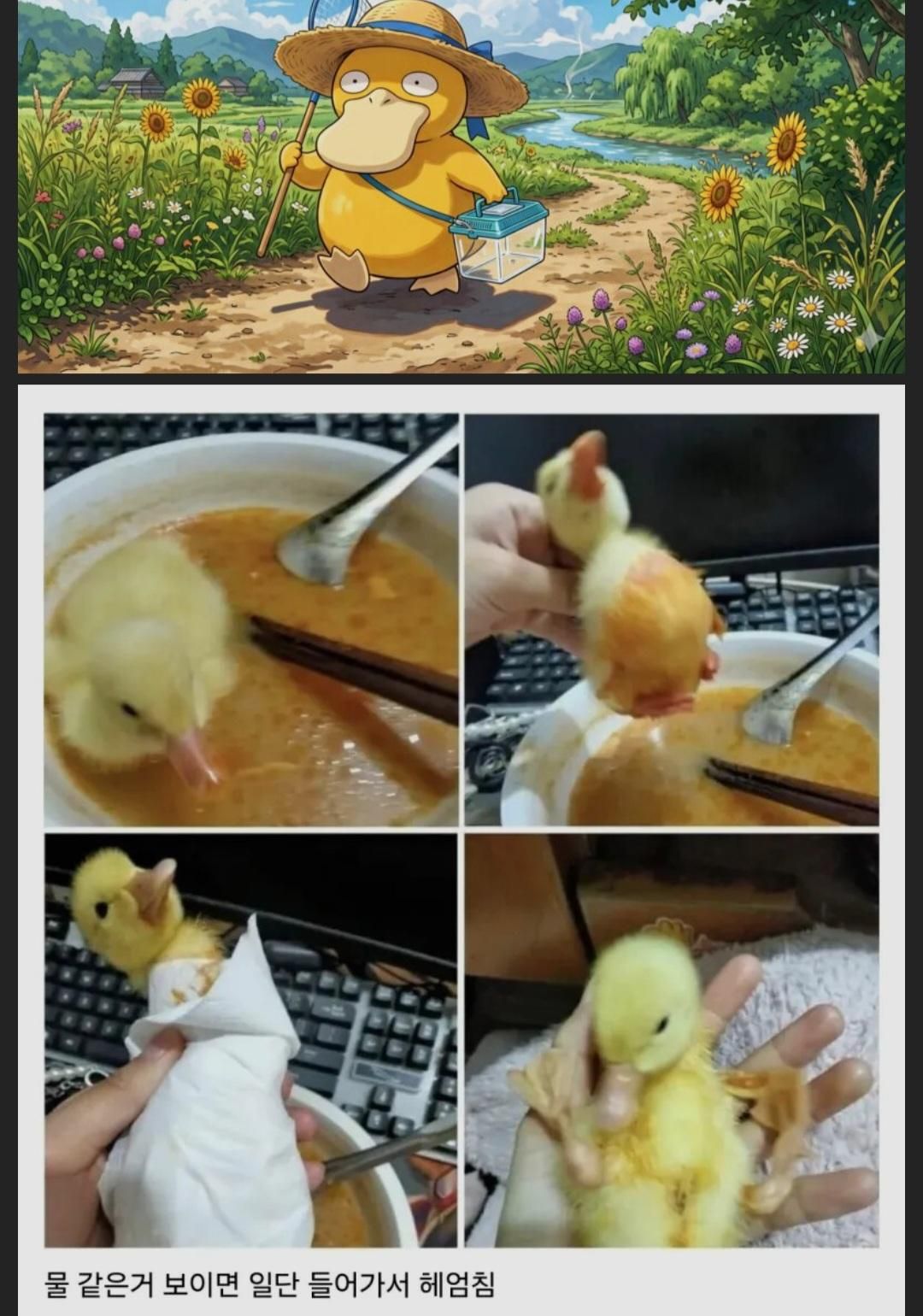 오리.jpg