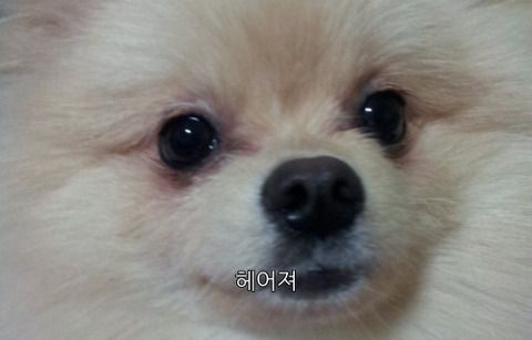 첨부파일