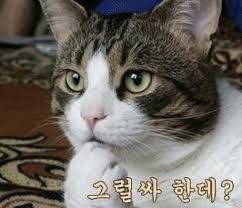 첨부파일