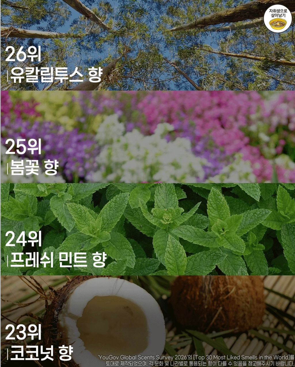 4ec1ee16033f9e06da8e24cf1a8951ae777cc201