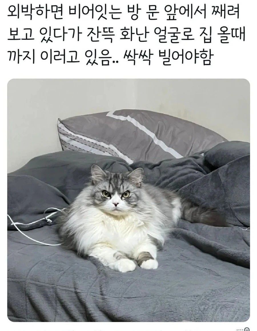 외박하면 바가지긁는타입_cr.jpg