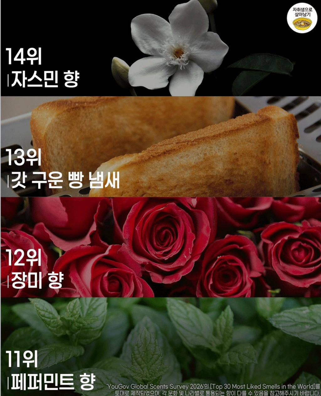 f763fff90c537969c85039529ebfe1be82085a86