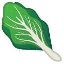 emoji_u1f96c.png