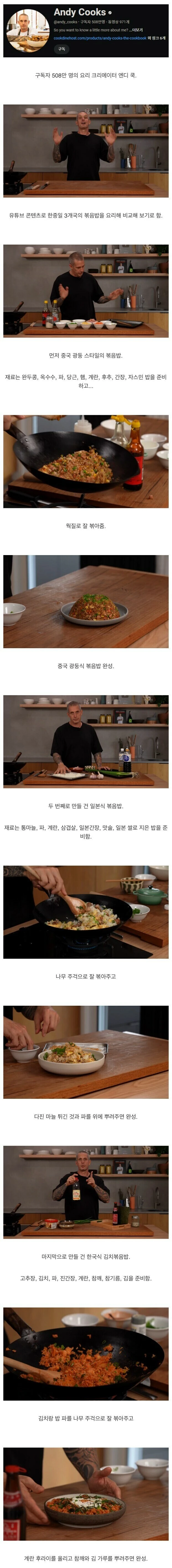 500만 요리 유튜버의 한중일 볶음밥 비교