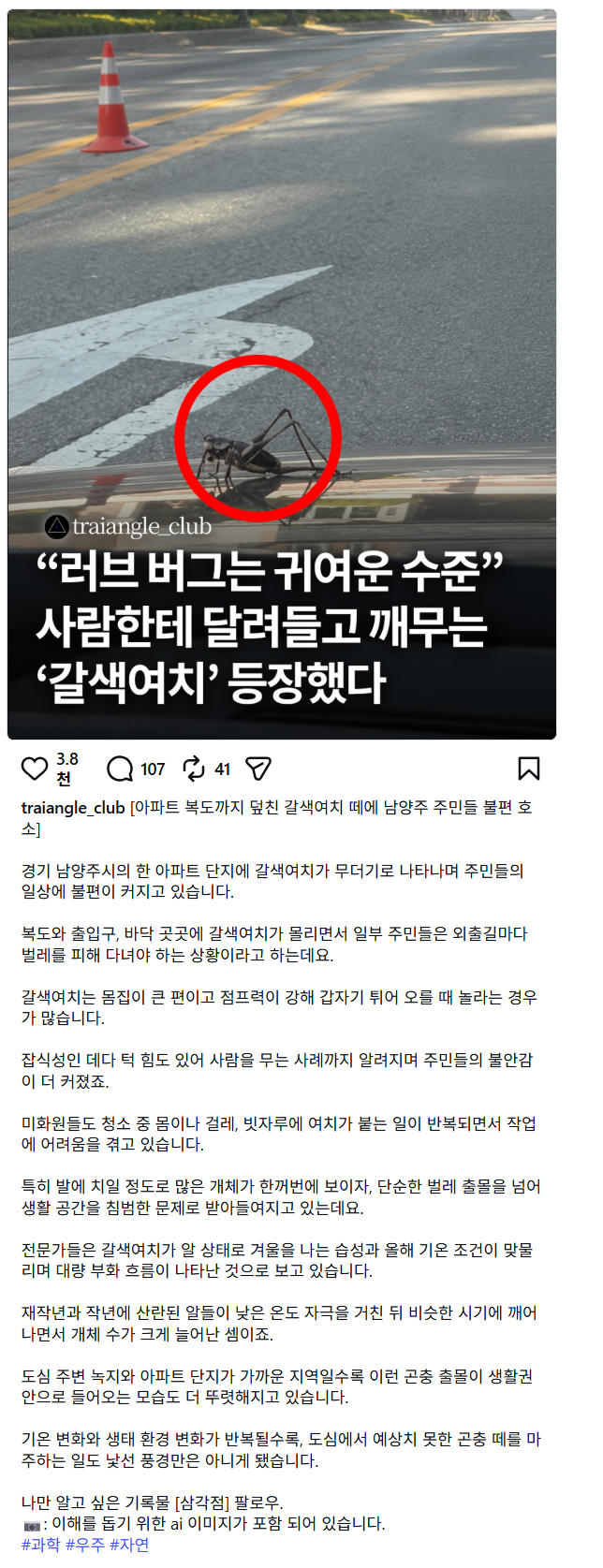 러브버그는 애교였다