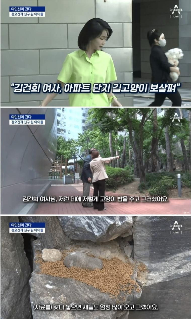 첨부파일