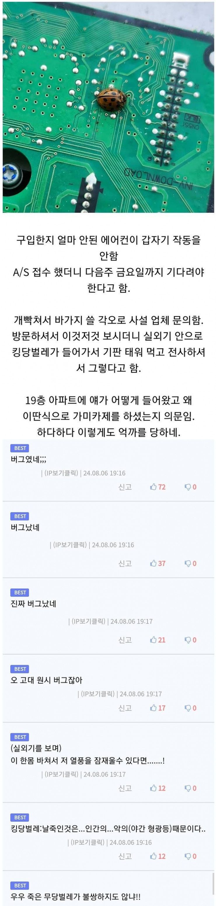 에어컨을 고장나게 한 버그.jpeg