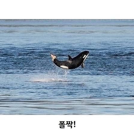 첨부파일