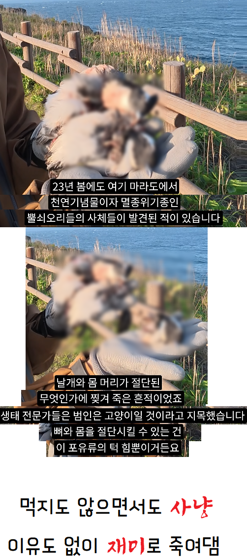 이미지_2026-07-14_213326622.png
