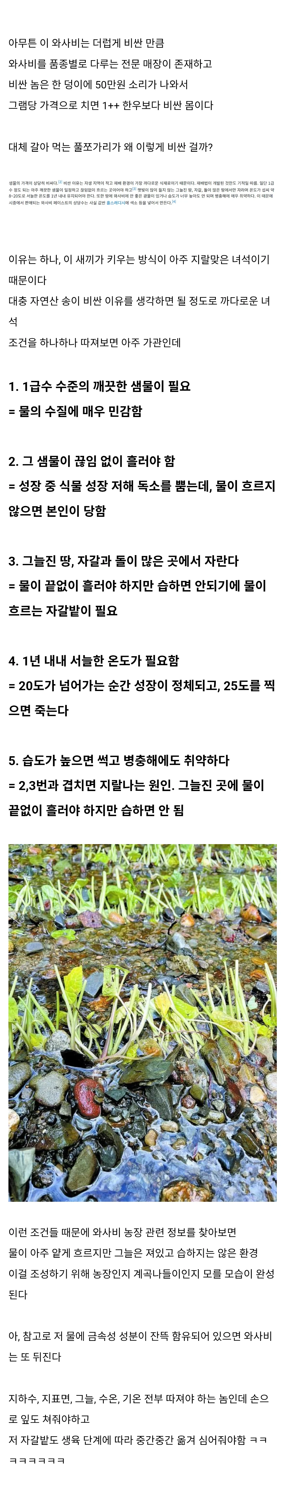 1783209971652601.webp