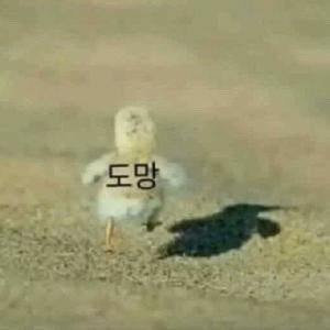 다운로드.jpg