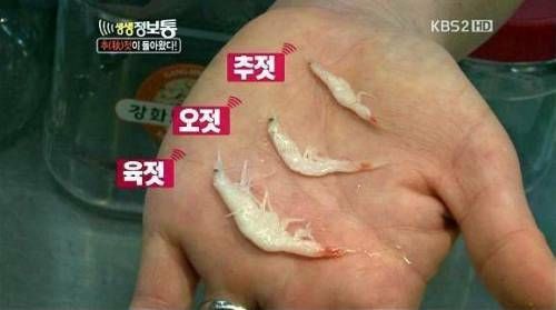 젓 크기 비교 (2).jpg