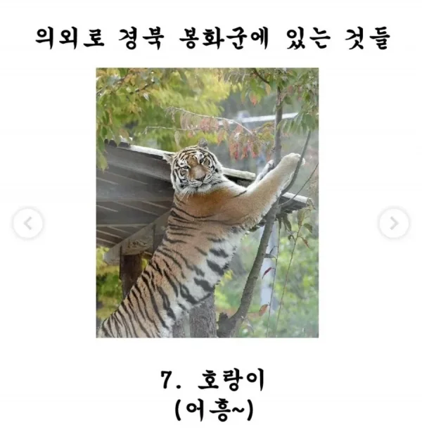m_20260715124244_x08wJEMc17.webp