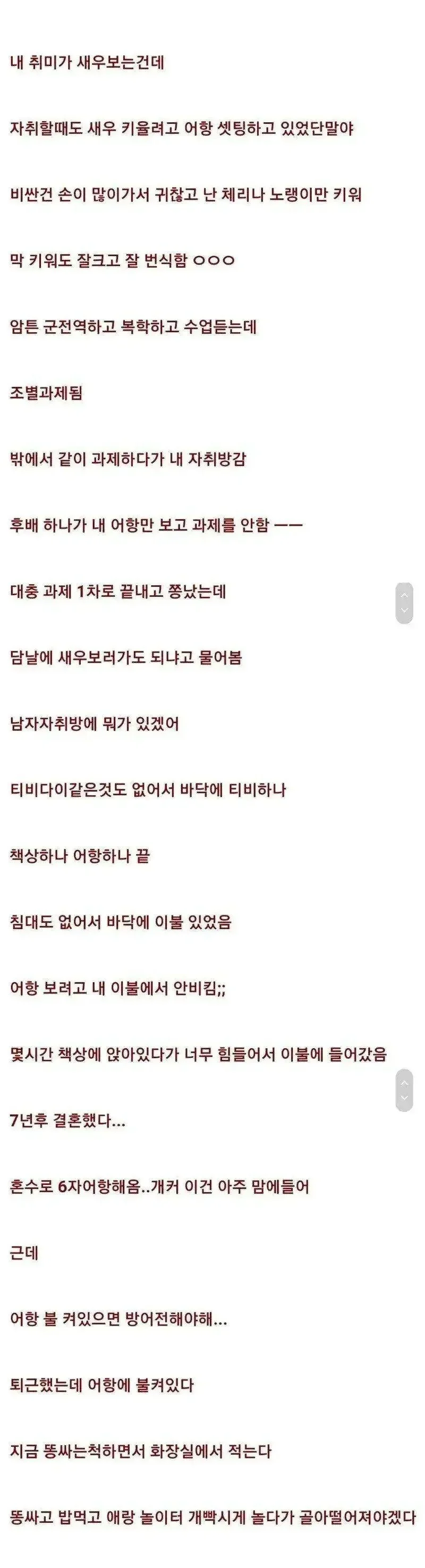 취미로 새우 키울때 절대 피해야 할 일.webp
