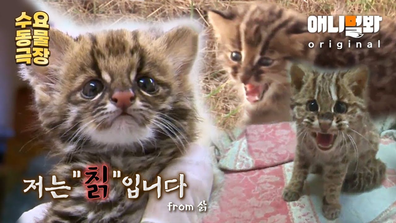 첨부파일
