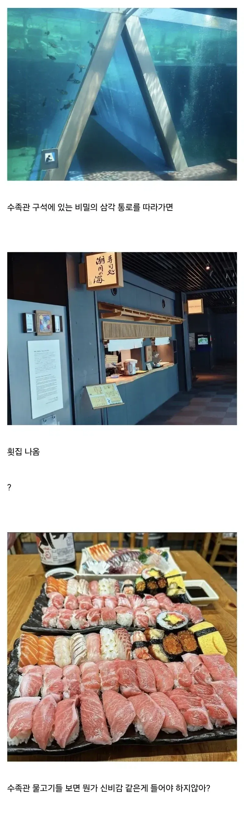 05.webp