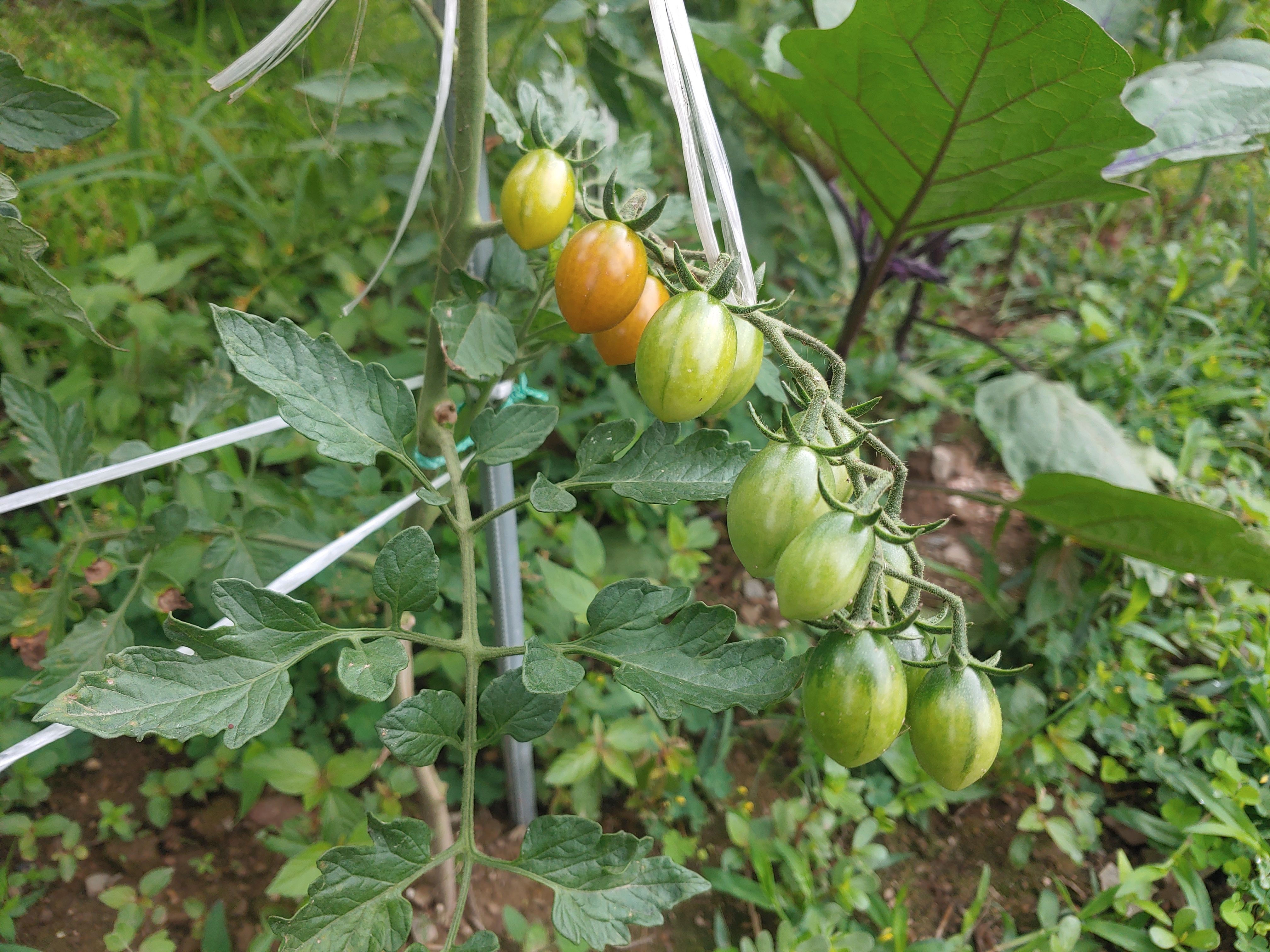20260624_080023.jpg