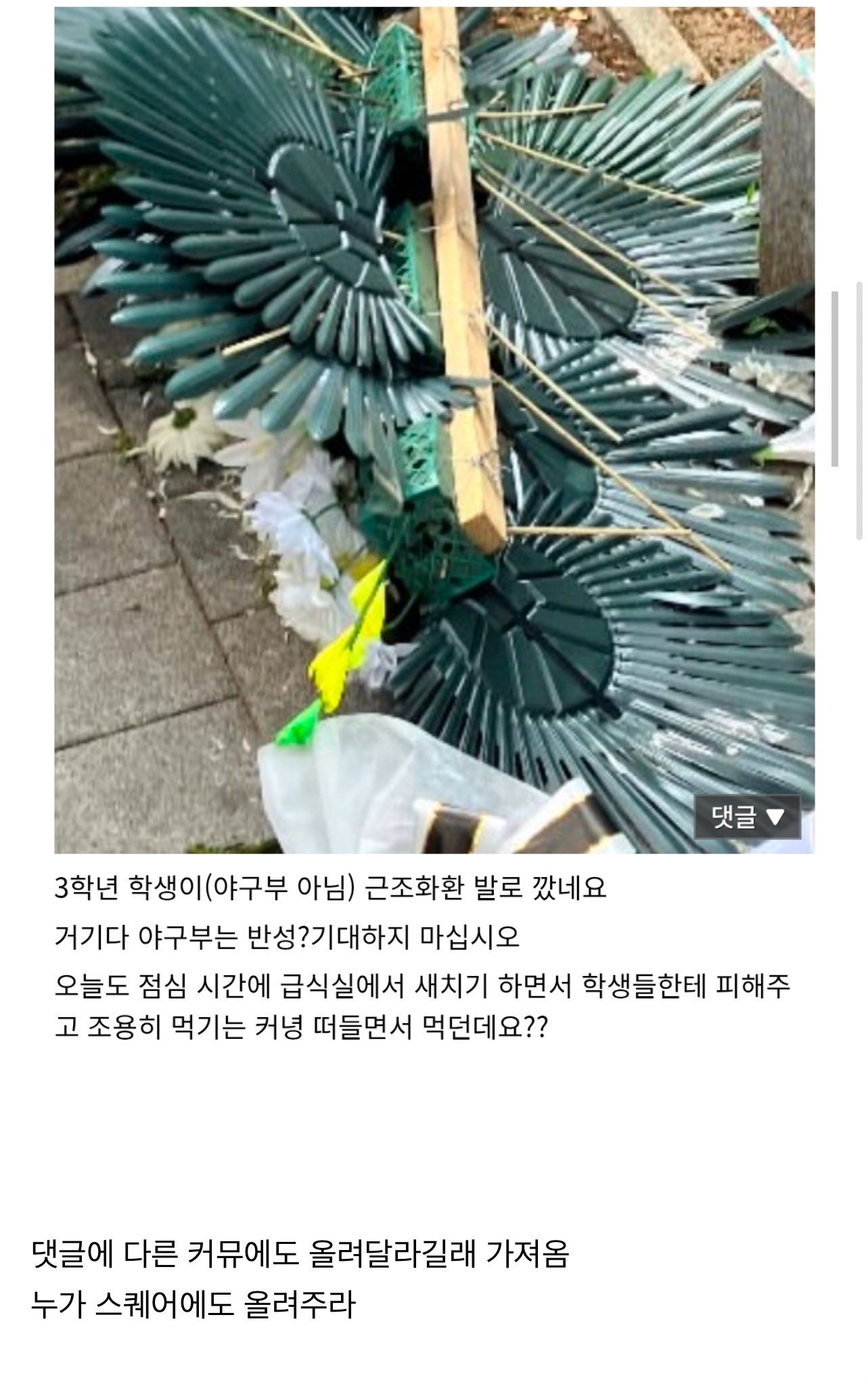442cd507f449ce8b1cafae3bd68ce42d.jpeg